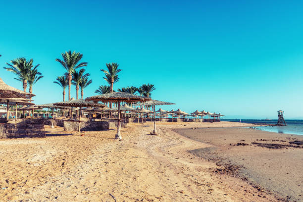 istock Beach with straw umbrellas and sunbeds. Vacation concept. 1187115978