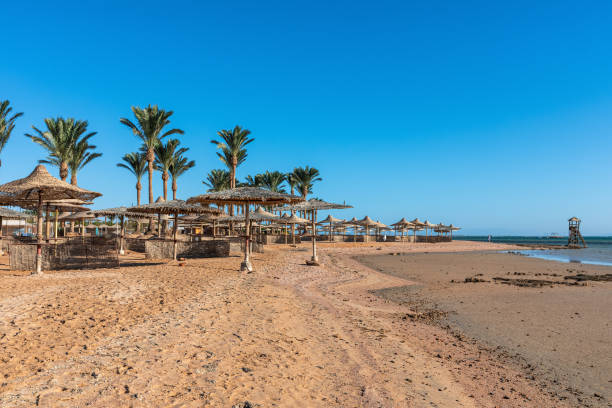 istock Beach with straw umbrellas and sunbeds. Vacation concept. 1187116323