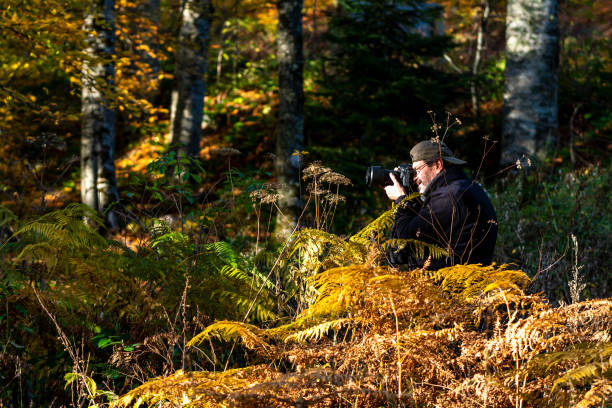 Photographer at Seven Lakes at Autumn National Public Park area