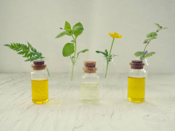 istock Alternative Medicine, green plants as a substitute for tablets, aromatherapy, essences and natural oils 1187118952