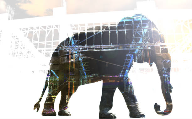 istock Double exposure Copper elephant statues standing  .Elephant stucco.  Black Elephant stucco on white background. 1187121216