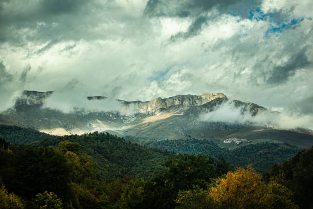 istock forest in mountains with foggy 1187121230