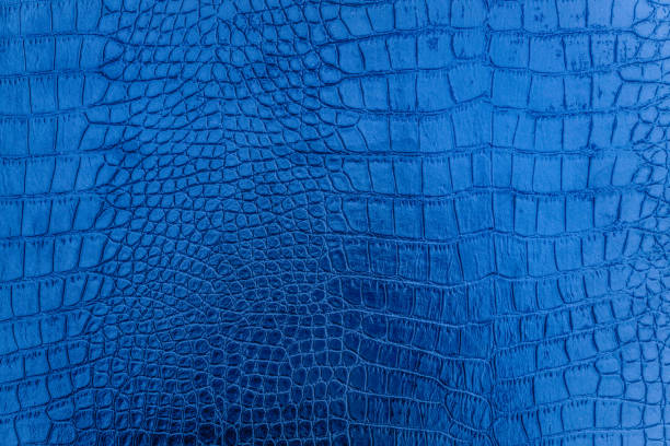 istock Vintage crocodile skin texture 1187122928
