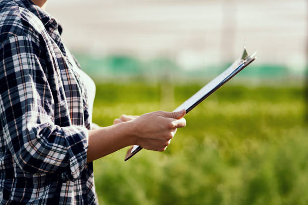 istock She keeps a record of everything that happens on the farm 1187123763