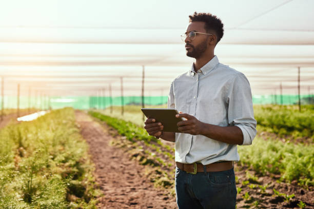 istock This farm is his pride and joy 1187124160