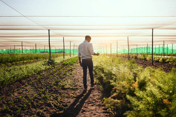 istock He's an expert when it comes to farming 1187124168