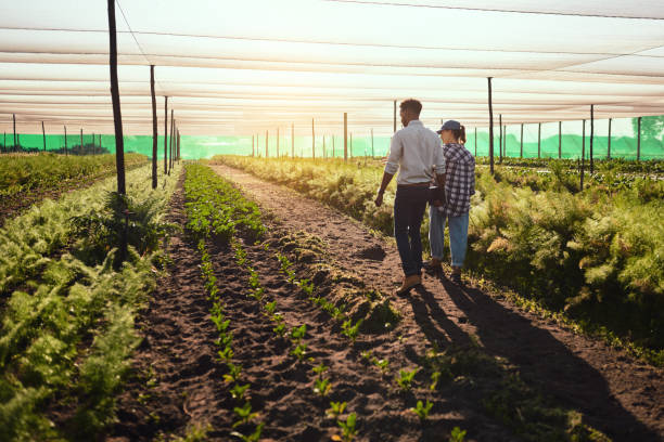 istock Getting up close and personal with their crops 1187124533