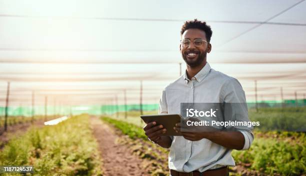 Im So Proud Of What Ive Achieved Here - Fotografias de stock e mais imagens de Agricultura - Agricultura, Agricultor, Ocupação