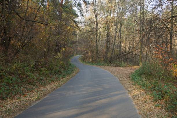 istock asphalt road among autumn colored forest 1187125795