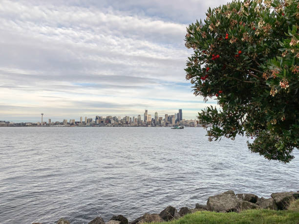 istock View on the Seattle City Skyline 1187132613