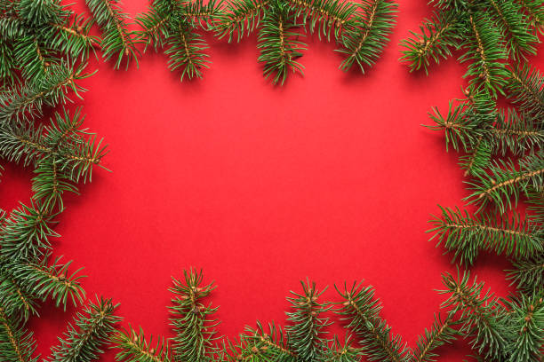 istock Christmas background. Frame made of fir tree branches on red background. Flat lay. top view 1187132839