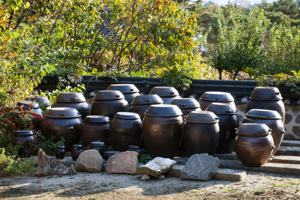 pot en céramique traditionnel coréen pour la sauce - crock pot photos et images de collection