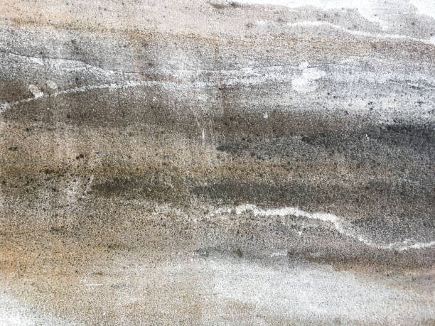 istock Abstract grunge concrete texture background, White painted colour, Interior and Exterior home concept 1187134628