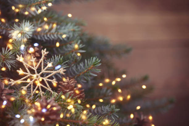 christmas tree and christmas light - tree lights imagens e fotografias de stock