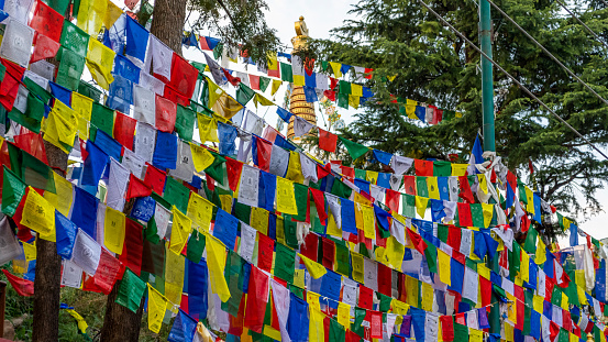 Prayer flags at Dharamsala, India
