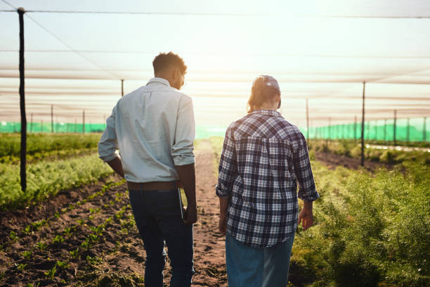 istock Keeping a close eye at things on the farm 1187136883