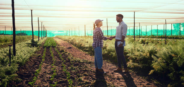 I'm leaving the farm in your capable hands