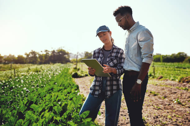 istock Just take a look at these growth figures 1187138266