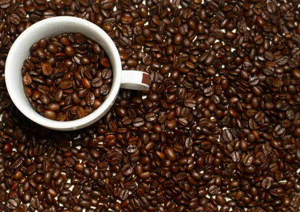White cup of coffe in coffee beans. Separate coffee beans. Food and drink background or texture.