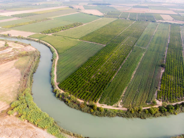 istock Farmland, aerial view 1187140925