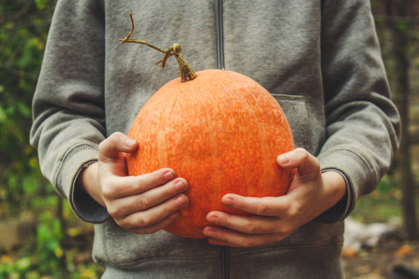 istock pumpkin (ripe orange fruit, harvest) concept. food background. copy space. Top view 1187141430