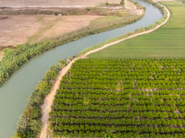 istock Farmland, aerial view 1187141491