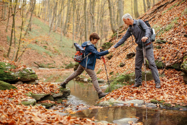istock Senior couple going hiking in forest on mountain 1187143884