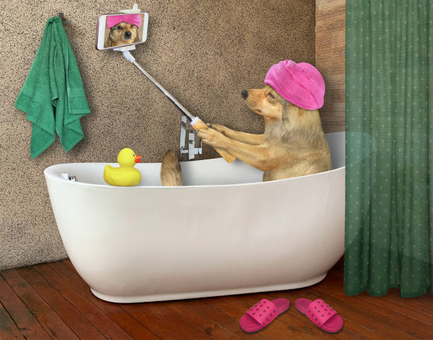 Dog takes bath with phone
