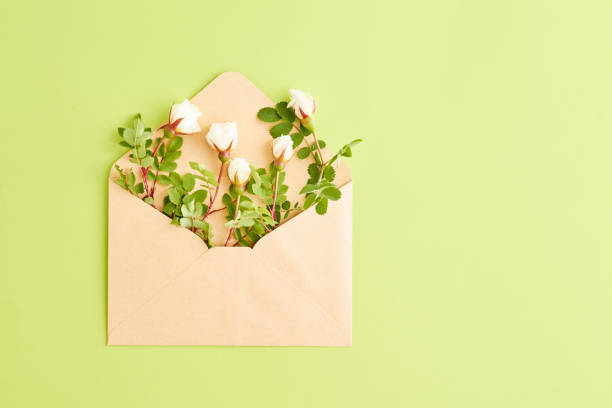 istock Flat lay composition with craft envelope and small white flowers on a green background 1187151758