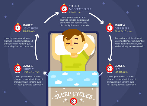 Sleep cycle infographics, vector flat style design illustration. Sleep phases or stages diagram, scheme, education poster template.