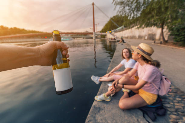 two happy girls close friends celebrating and toasting and drinking wine from a little bottles and watching a sun goes down over saone river in lyon city, france - drinking little girls women wine imagens e fotografias de stock