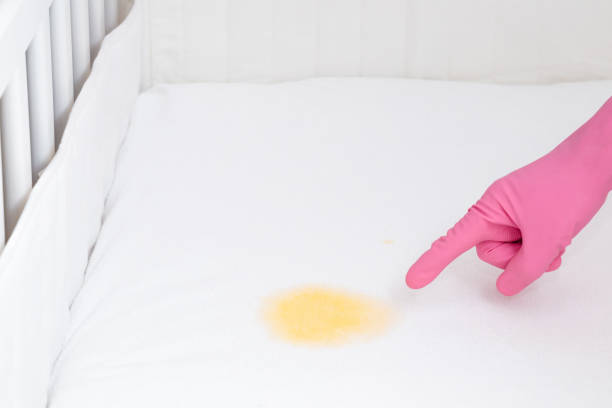 Hand in rubber protective glove pointing to yellow fresh urine stain on white mattress. Baby crib.  Upholstered furniture cleanup. Closeup. Hand in rubber protective glove pointing to yellow fresh urine stain on white mattress. Baby crib.  Upholstered furniture cleanup. Closeup. sign human hand pointing manual worker stock pictures, royalty-free photos & images
