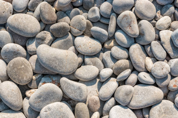 istock Abstract nature background with round gray pebbles. 1187157670