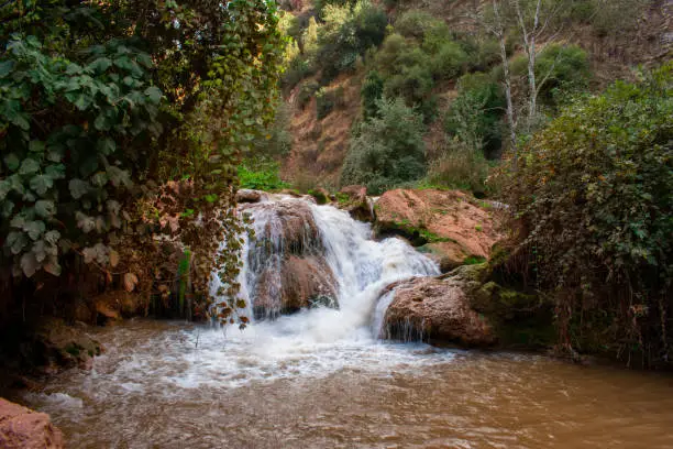 Photo of Small waterfall on river in Atlas Mountains, Morocco. Water stream in Forest.