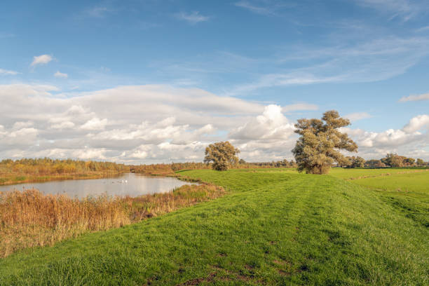 istock Colorful landscape in autumnal colors 1187158595