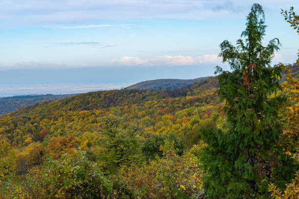 istock Panorama of Mount Fruska Gora in the fall 1187158638