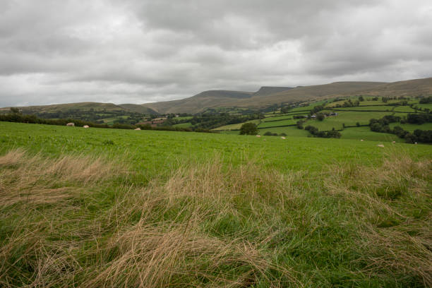 istock Brecon Beacons national park Wales 1187158998