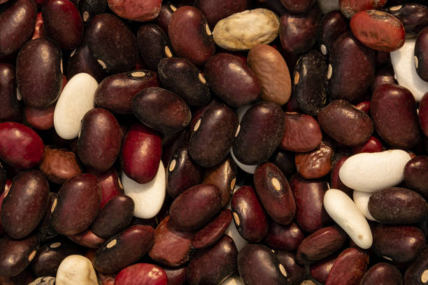 istock bean beans dark colors top view close up 1187159091