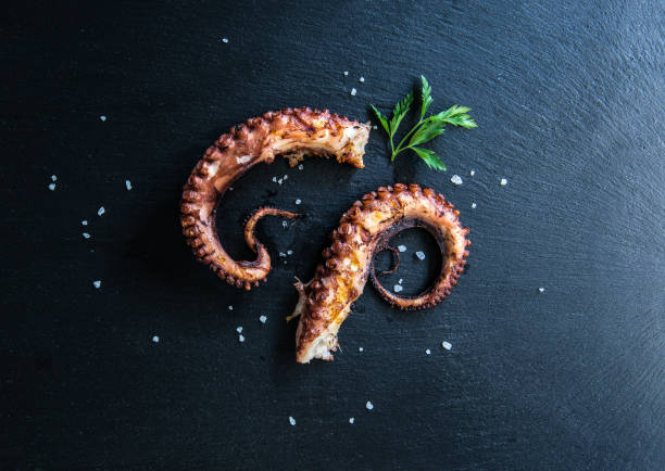 istock Grilled Octopus seafood appetizer food concept image on black stone table from top view. 1187159512