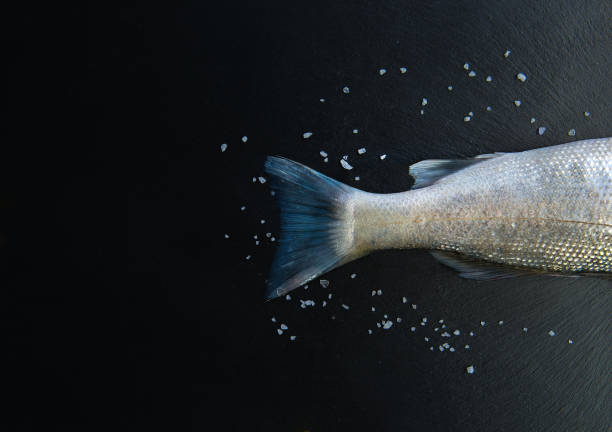 Fish food or seafood concept image on black background stone table from top view.