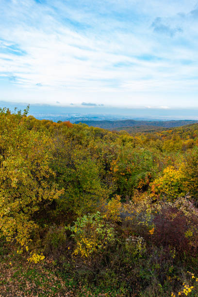 istock Panorama of Mount Fruska Gora in the fall 1187160186