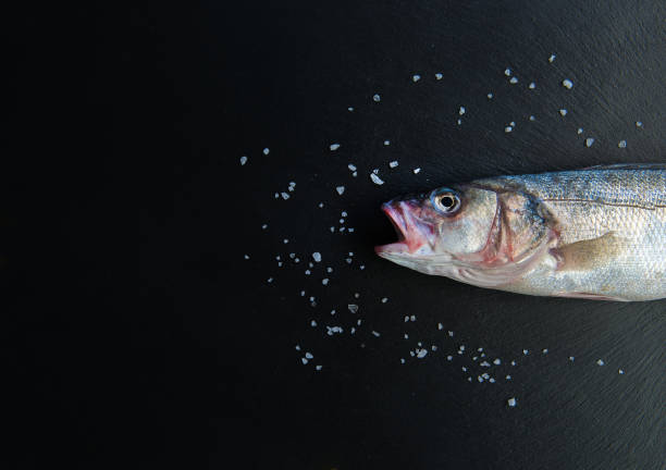 istock Fish food or seafood concept image on black background stone table from top view. 1187160345