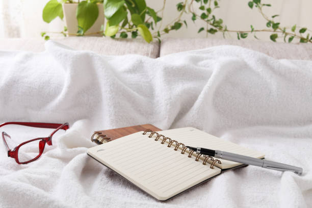 istock Notebooks and fountain pen 1187160395