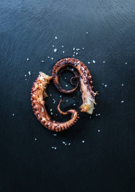 istock Grilled Octopus seafood appetizer food concept image on black stone table from top view. 1187160411