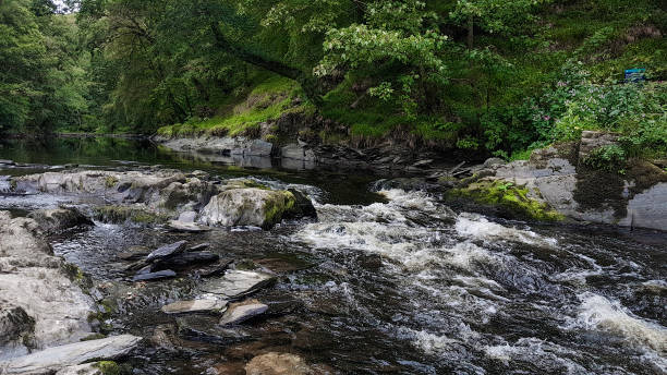 istock Cenarth Falls,  afon teifi river Wales 1187160624