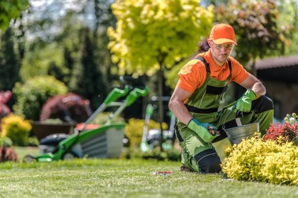 istock Professional Caucasian Gardener 1187162396