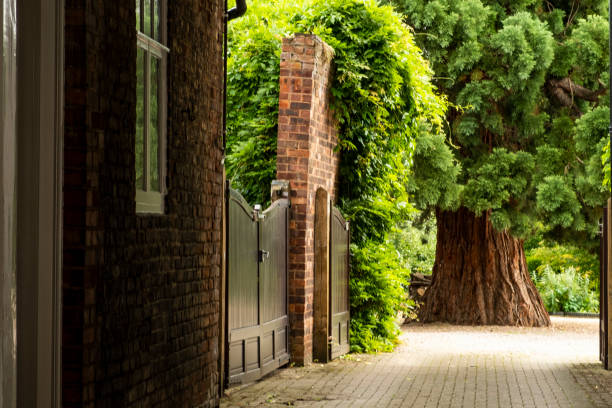 Backyard with trees and driveway Pershore England