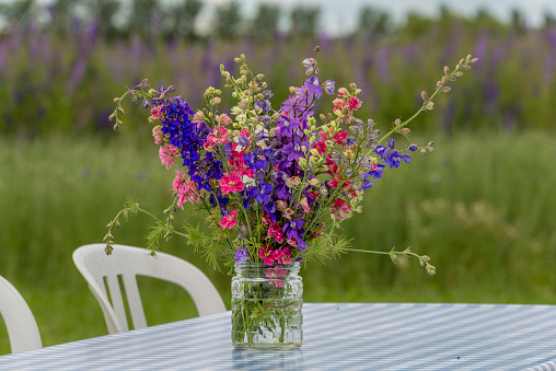 Jar of delphiniums on a table at the Confetti Flower Fields at Wick near Pershore Worcestershire