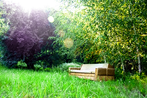 Empty old secluded sofa among spring nature with green trees and grass. Solitude concept