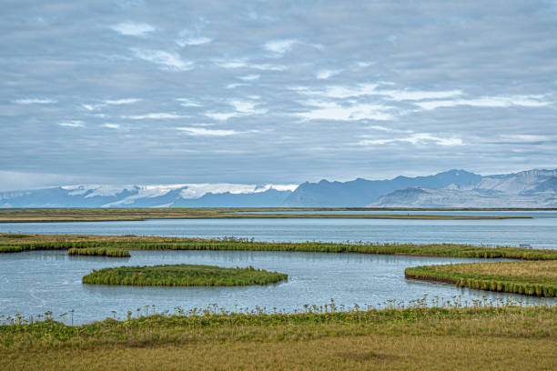 istock tranquil land and seascape in southern Iceland 1187167310